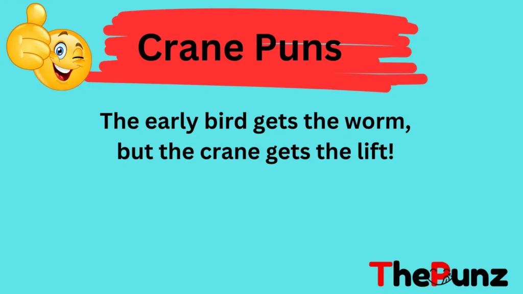 Funny Crane Sayings