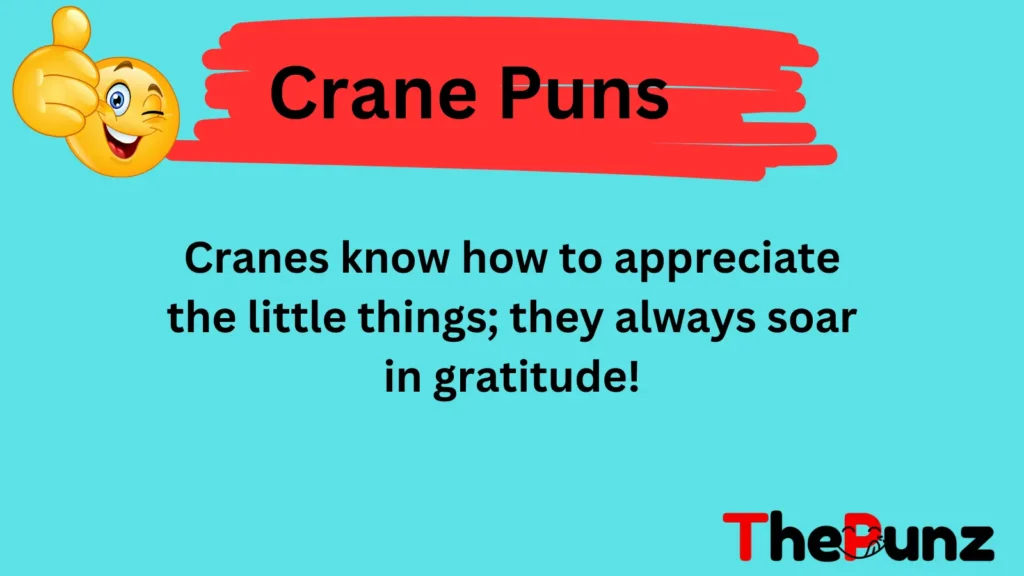 Crane Wisdom Puns