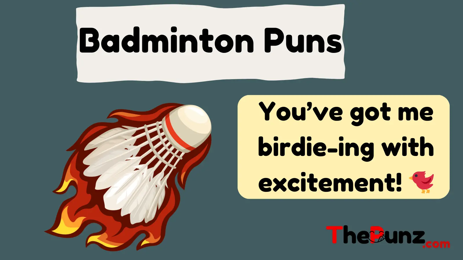 Badminton Puns