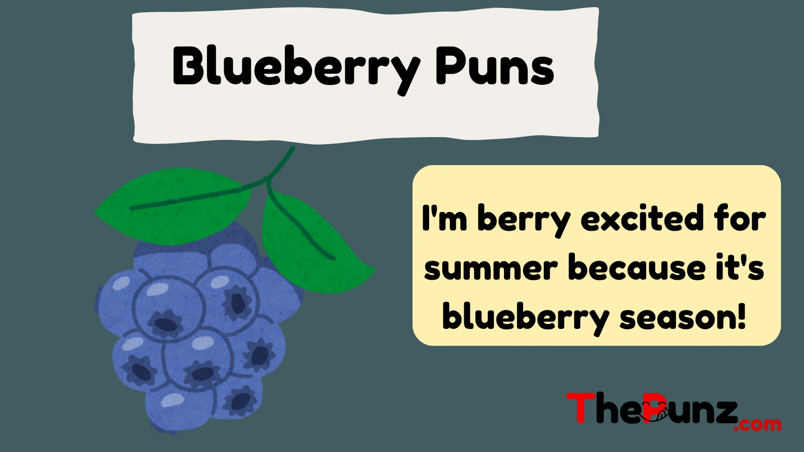 Blueberry Puns