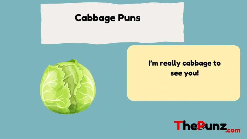 Cabbage Puns 