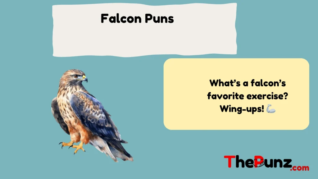 Falcon Puns  