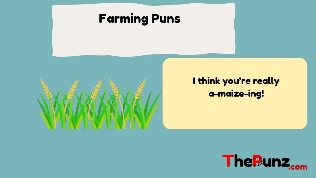 Farming Puns