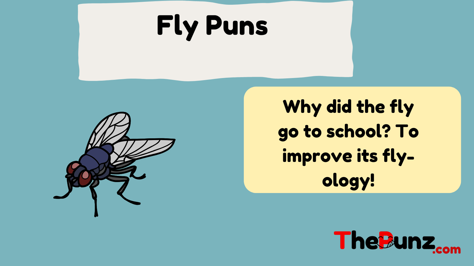  Fly Puns