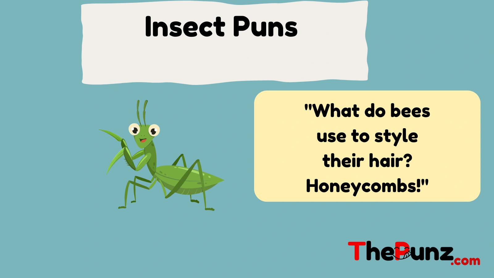  Insect Puns