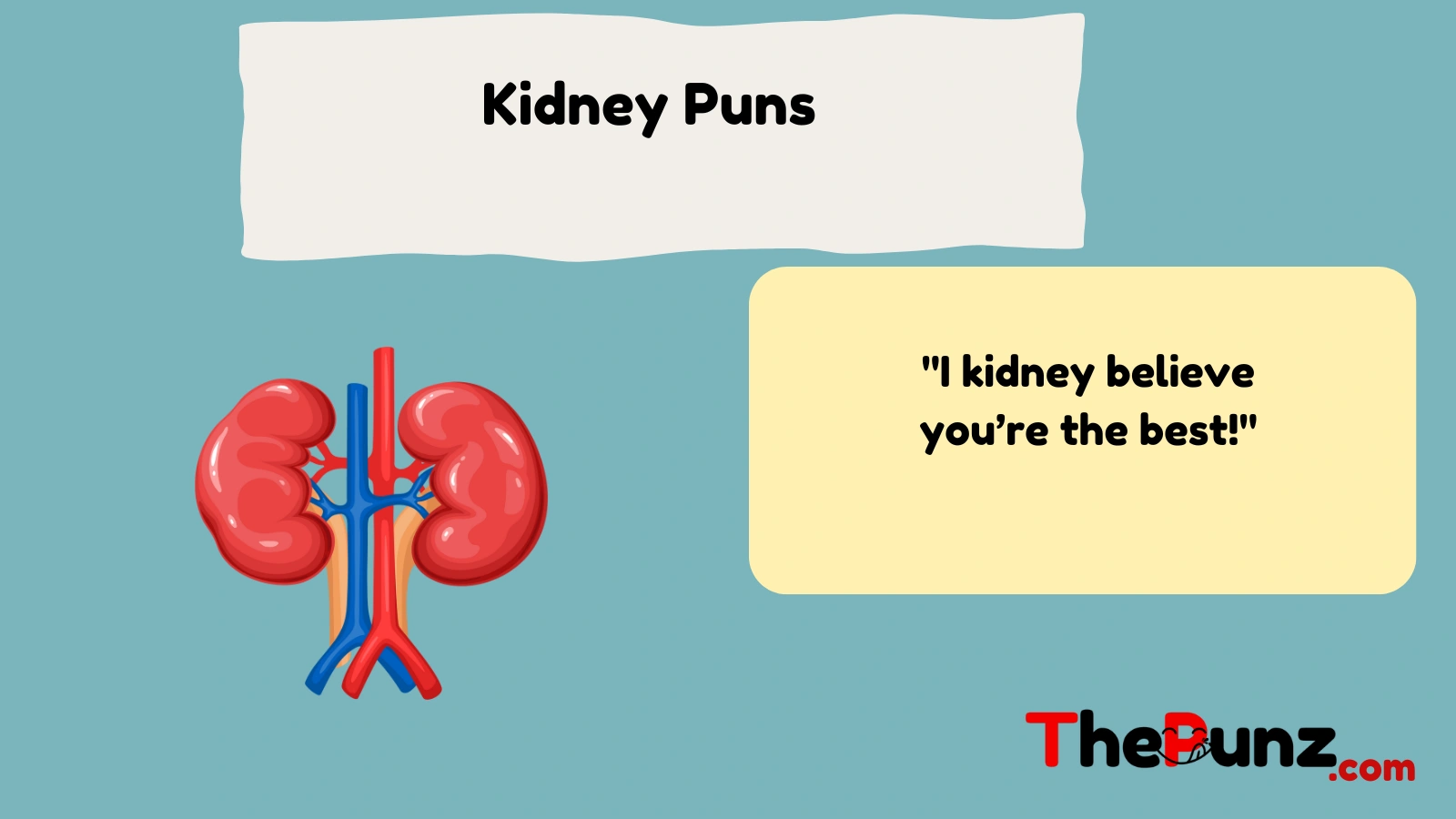 kidney-puns