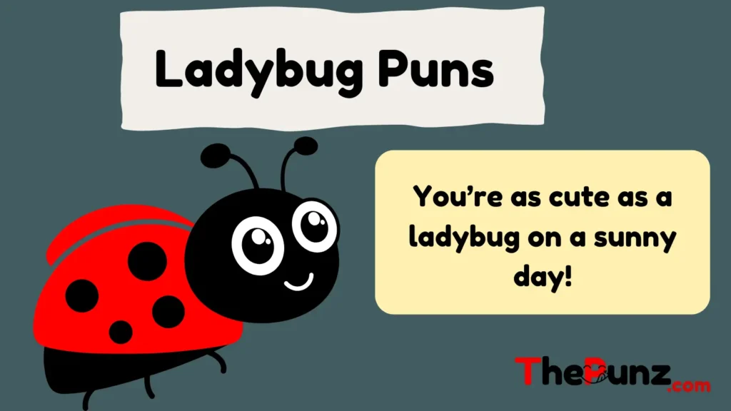 Ladybug Puns