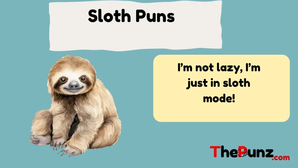 Sloth Puns