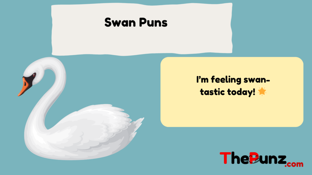 Swan Puns 