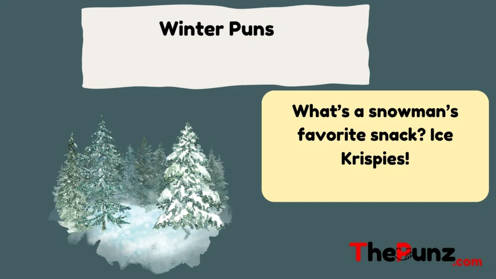 Winter Puns