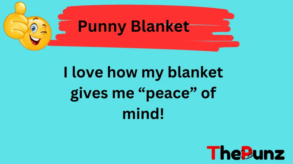 Punny Blanket