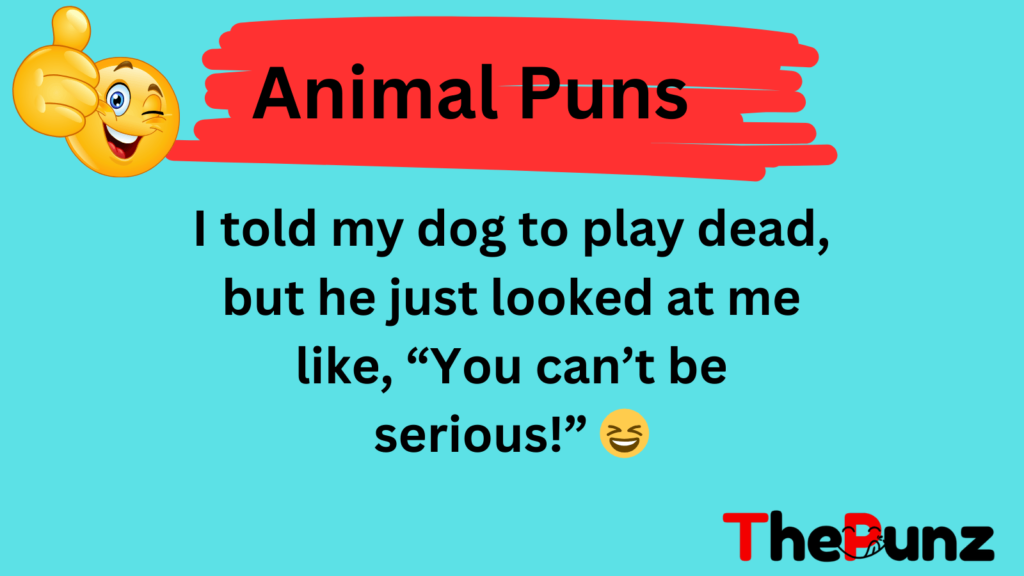 Animal Puns