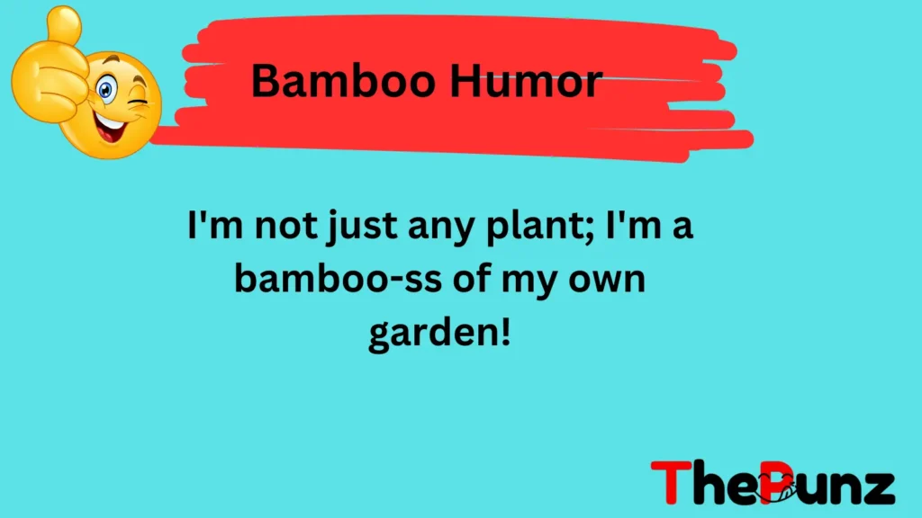 Bamboo Humor