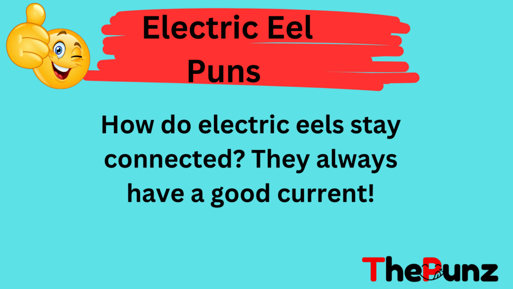 Electric Eel Puns 