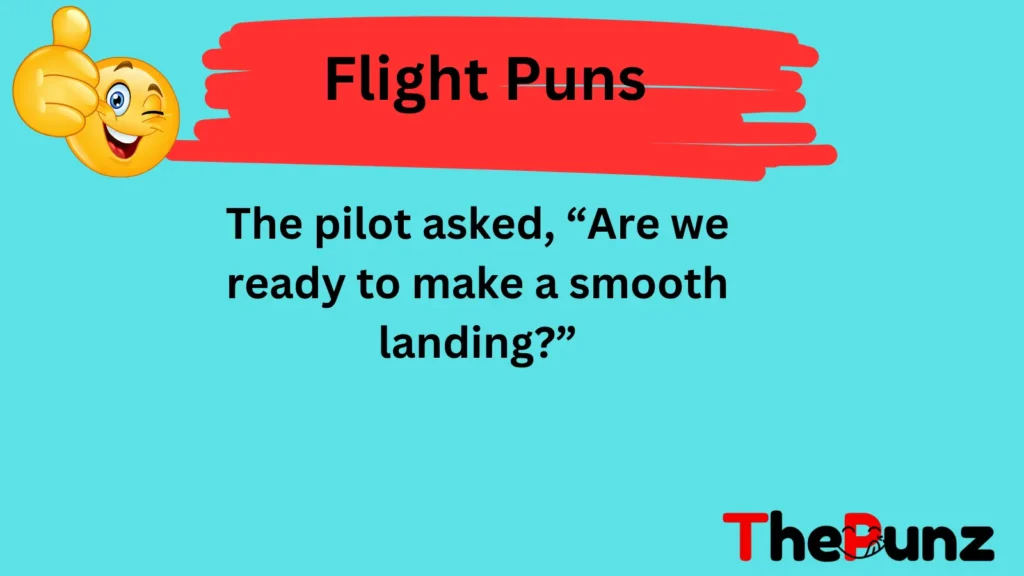 Landing Puns 