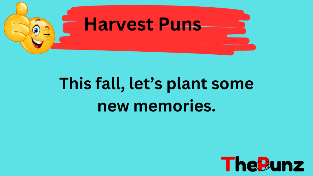 Harvest Puns