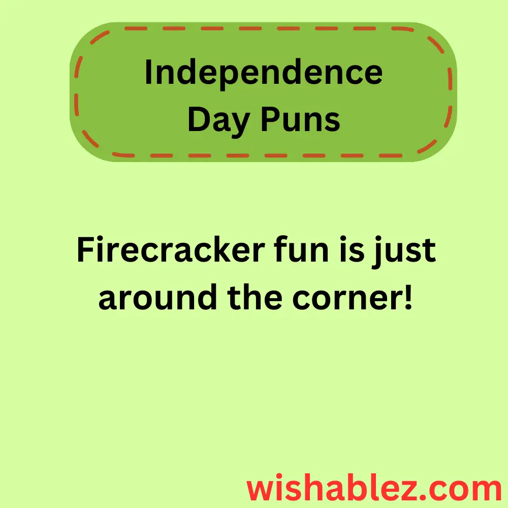 Independence Day Puns