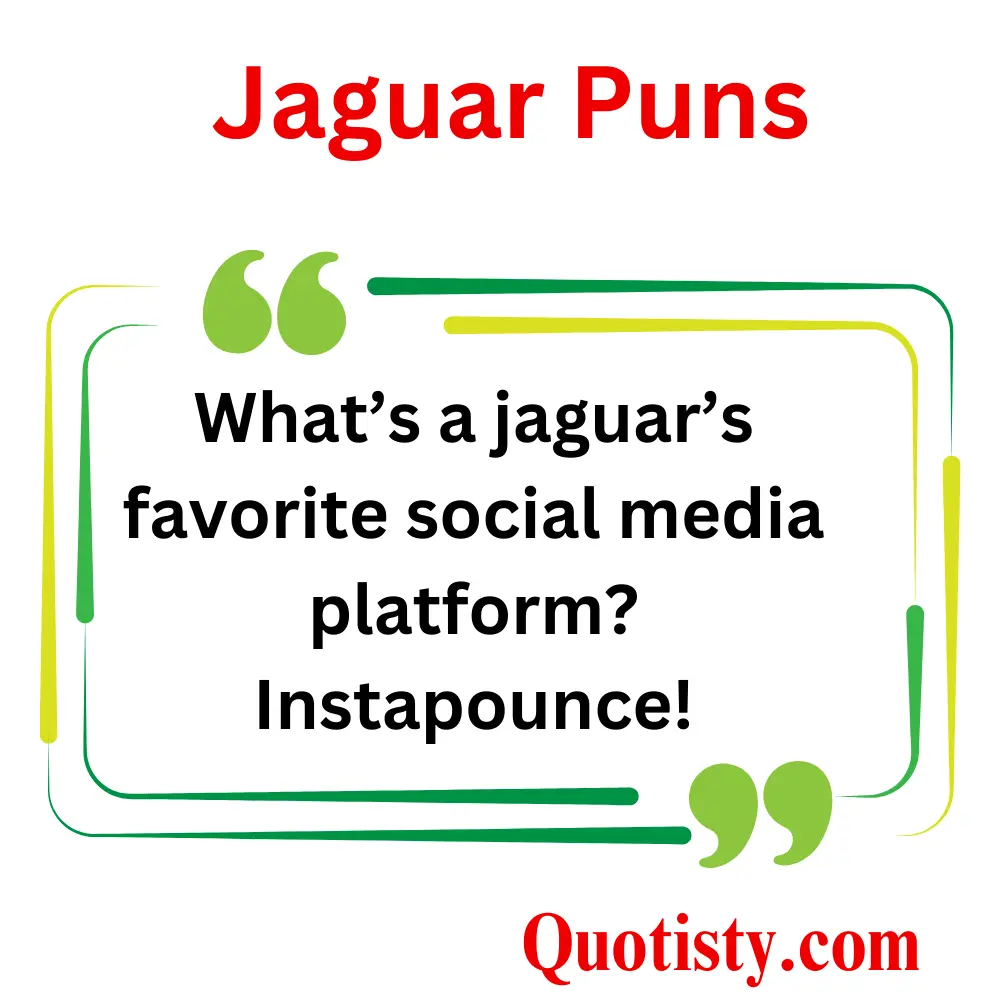 🐆 Purr-fectly Funny Jaguar Puns