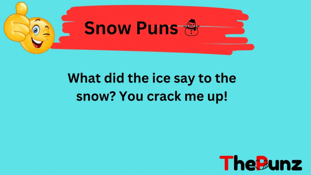 Ice Puns 🧊