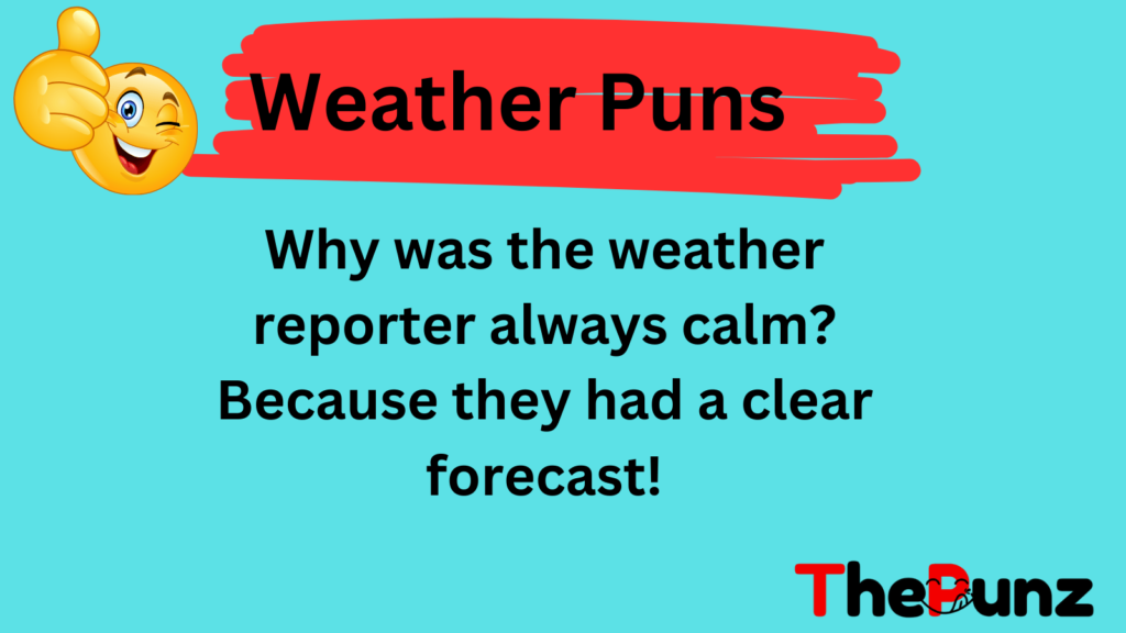 Weather Puns