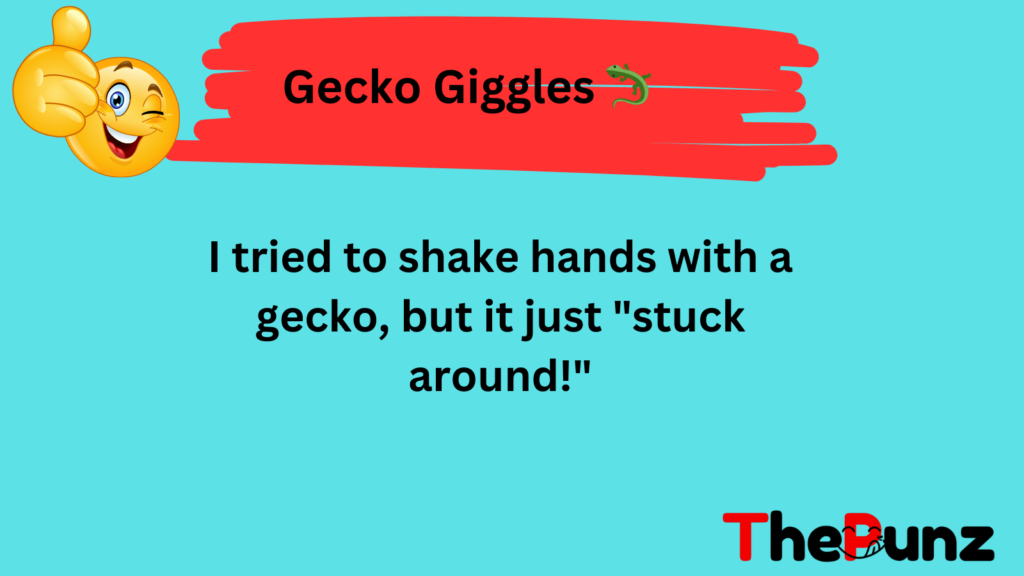 Gecko Giggles 🦎