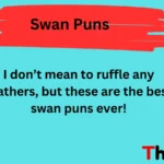 Swan puns