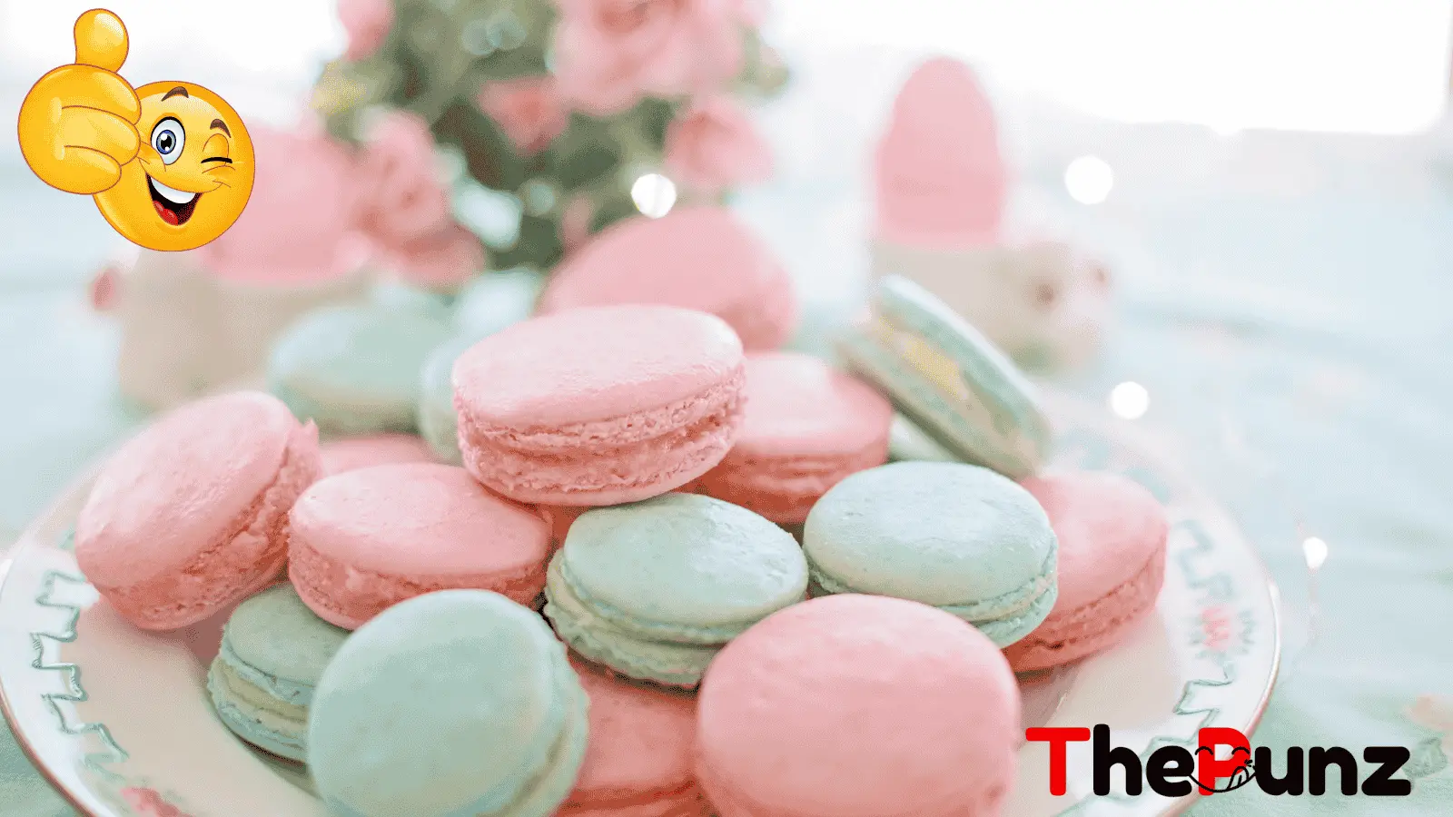 Macaron Puns
