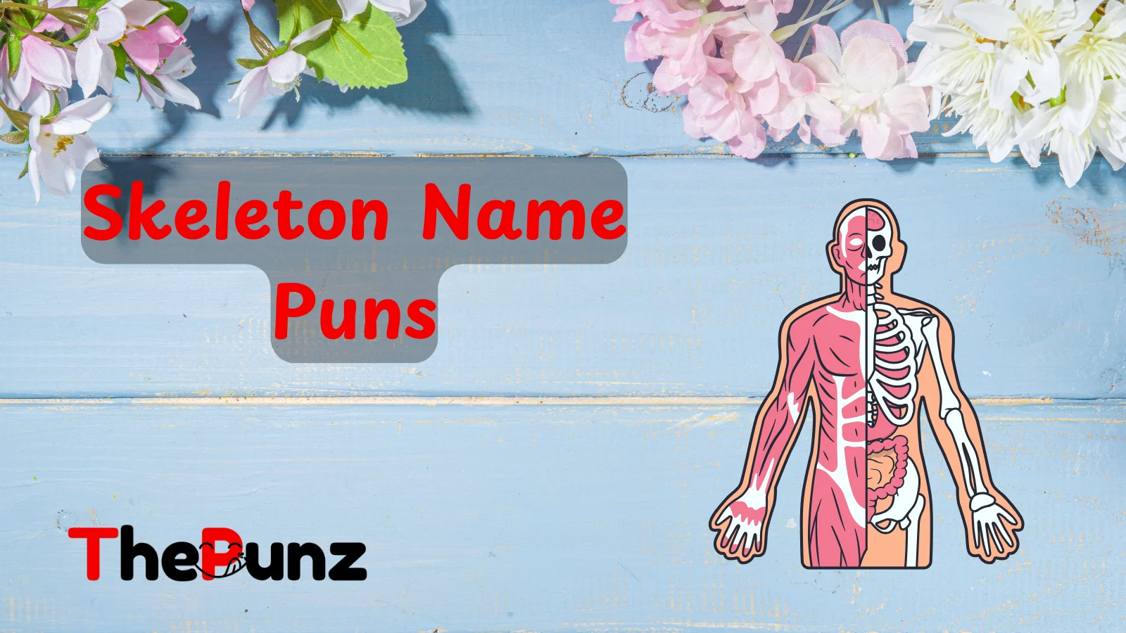 “Bone to Be Wild: Humerus Skeleton Name Puns”