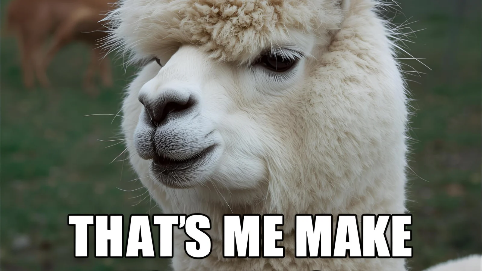 Alpaca Puns That'll Make You Wooly Laugh
